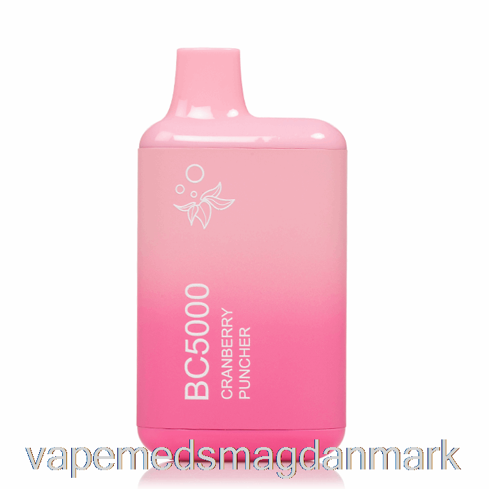 Vape Uden Nikotin Bc5000 Engangs Tranebærpunch